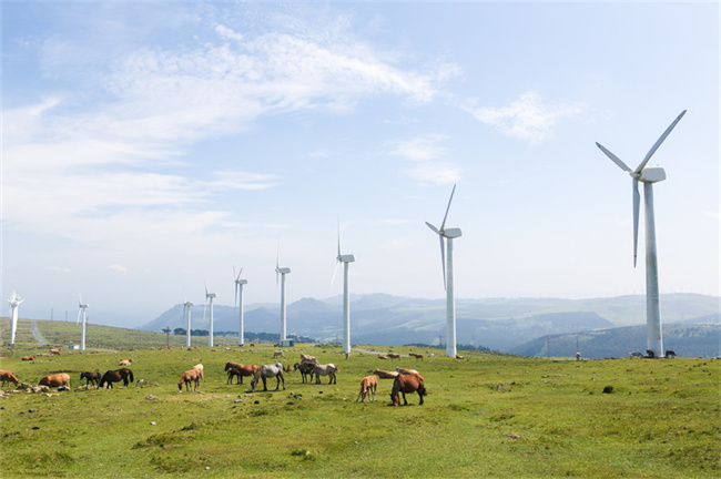 風電潤滑油檢測系統